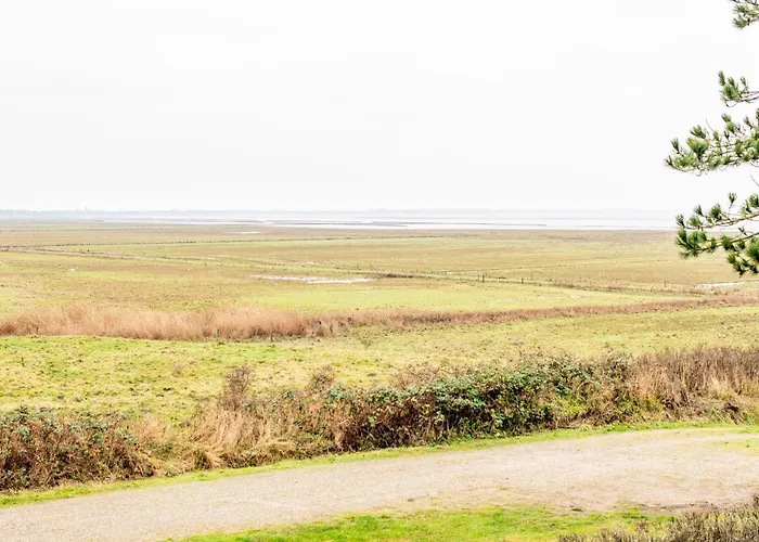 Heefwai 2 4 By Interhome Schellinghorn